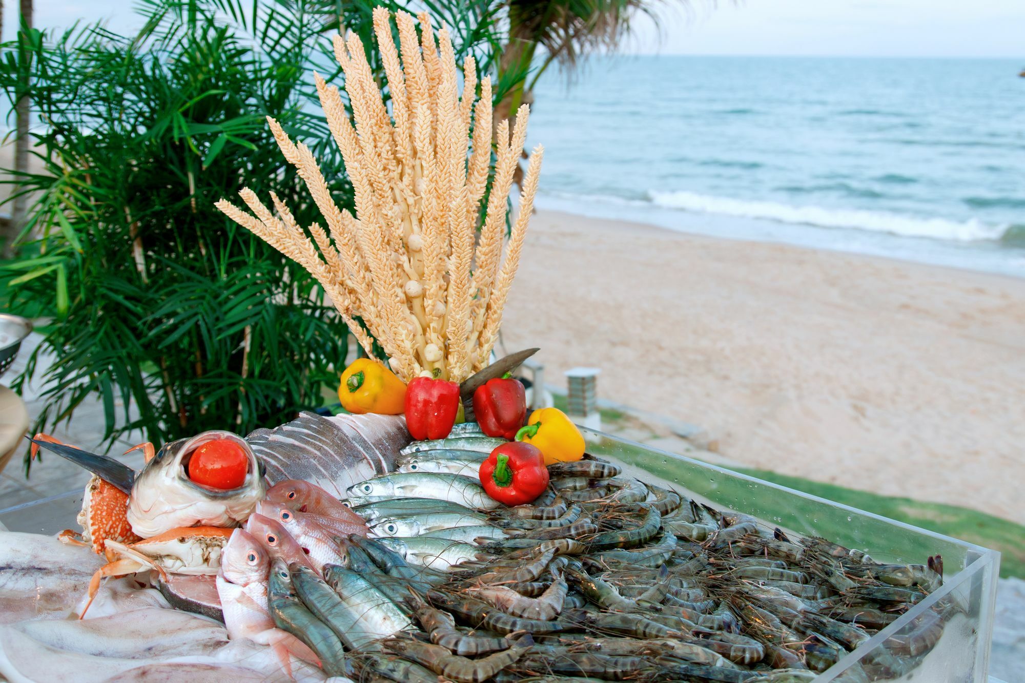 Villa Del Sol Beach Resort & Spa Phan Thiết Esterno foto